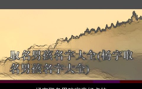 杨字取名男孩寓意好点的