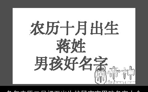 兔年农历二月初五出生的鼠宝宝男孩名字大全