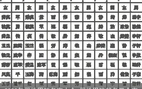 2023年翟姓男孩名字大全 翟姓男孩起名三个字