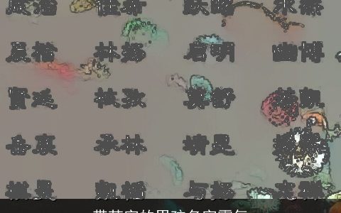 带苏字的男孩名字霸气