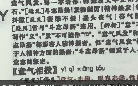 兔年姓苏的名字男孩 意气昂扬之义意气昂扬之义