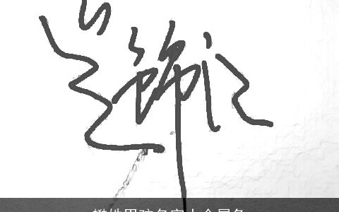 樊姓男孩名字大全属兔