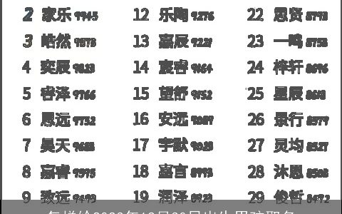 怎样给2024年12月30日出生男孩取名