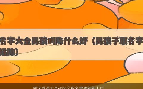 四字成语大全6000个取名男孩朗朗上口的成语起名字男孩 四字成语适合取名男孩