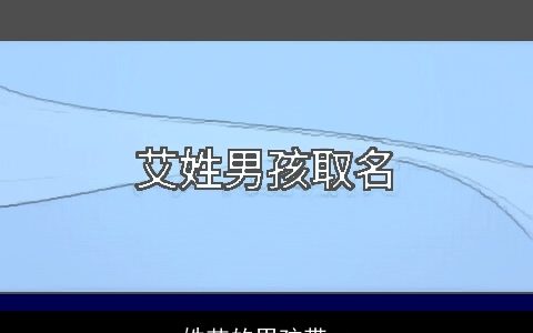 姓艾的男孩带一