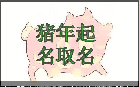 吉祥好听的男宝宝名字大全2023年猪宝宝起名大全