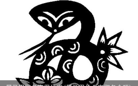 属马男取名宜用的字(属马用什么字取名会旺)