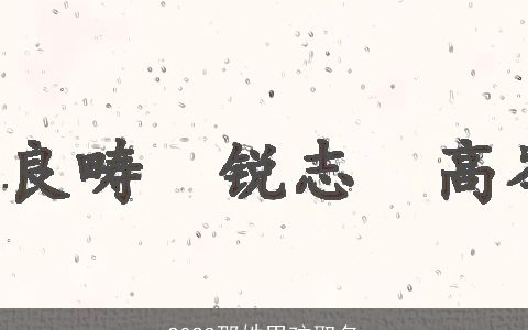 2023邵姓男孩取名