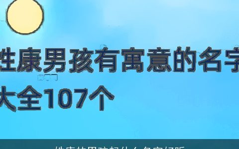 姓康的男孩起什么名字好听