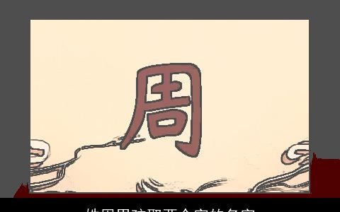 姓周男孩取两个字的名字