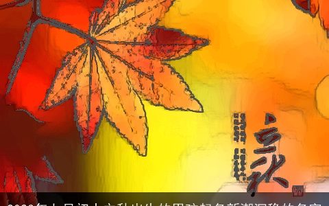 2024年七月初十立秋出生的男孩起名新潮沉稳的名字