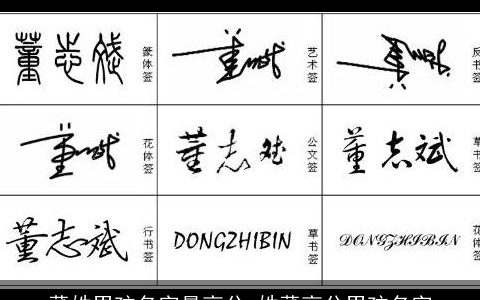 董姓男孩名字最高分_姓董高分男孩名字