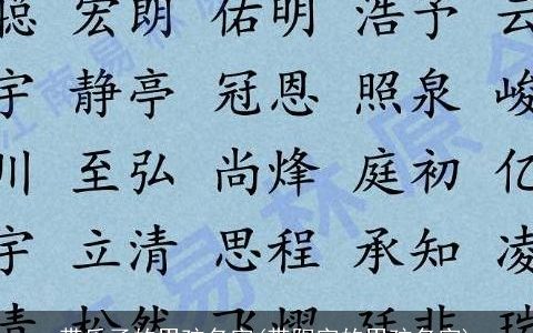 带乐子的男孩名字(带阳字的男孩名字)