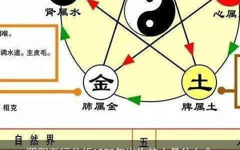 阴阳五行分析1973年出生的人是什么命