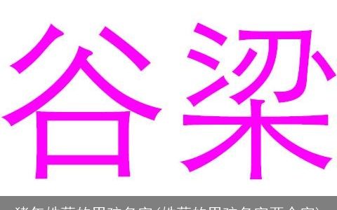猪年姓蔡的男孩名字(姓蔡的男孩名字两个字)