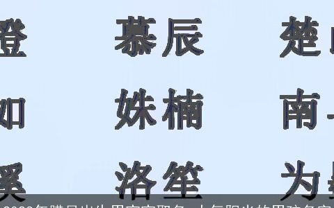 2023年腊月出生男宝宝取名 大气阳光的男孩名字