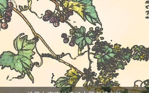 姓黄女宝宝从诗经中取名的方法