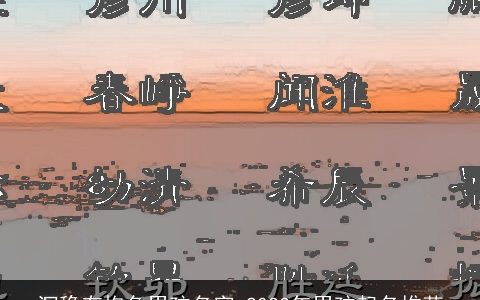 沉稳有抱负男孩名字 2023年男孩起名推荐