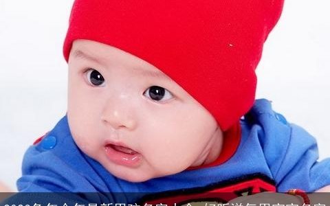 2023兔年今年最新男孩名字大全 好听洋气男宝宝名字