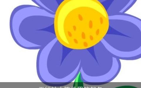 五行缺木陈姓男孩起名