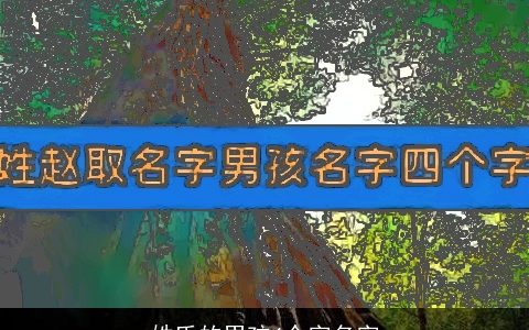 姓氏的男孩4个字名字