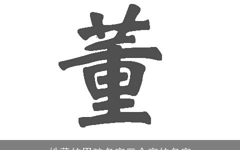 姓董的男孩名字三个字的名字