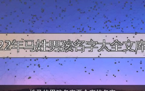 姓马的男孩名字两个字的名字