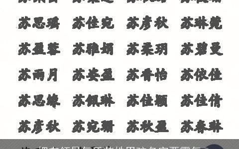 拥有领导气质苏姓男孩名字要霸气