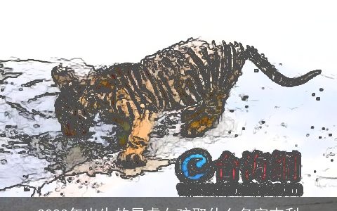 2023年出生的属虎女孩取什么名字吉利