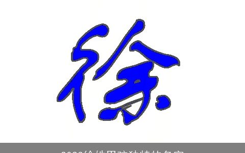 2023徐姓男孩独特的名字