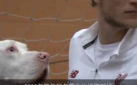 2023年狗年起名婴儿这样取就行