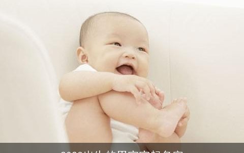 2024出生的男宝宝起名字