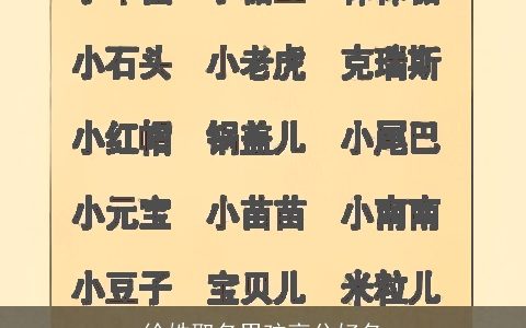 徐姓取名男孩高分好名