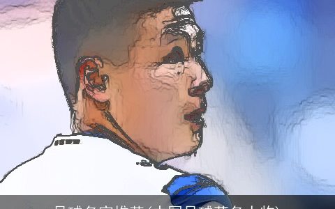 足球名家推荐(中国足球著名人物)