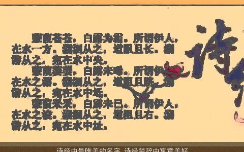 诗经中最唯美的名字 诗经楚辞中寓意美好的名字大全 唯美寓意的诗经诗经楚辞名字