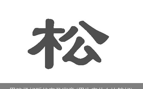 男孩子好听的字及寓意(男生字什么比较好)