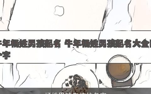 杨姓男孩有洁的名字