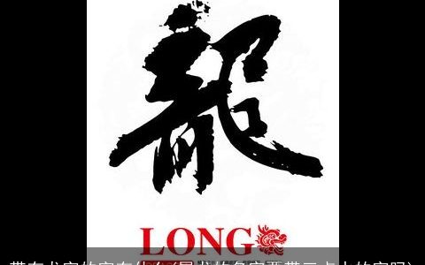 带有龙字的字有什么(属龙的名字要带三点水的字吗)