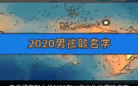 有内涵有魅力的2023年11月出生的男孩名字