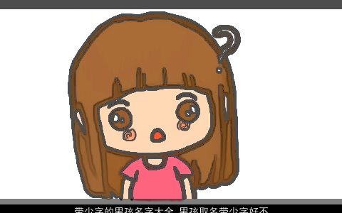 带少字的男孩名字大全 男孩取名带少字好不好 2024好听洋气的带少字男孩名字最新