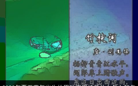 2023年夏至节气出生的男孩喜用神是什么怎么起名