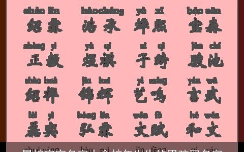 属龙宝宝名字大全龙年出生的男孩取名字