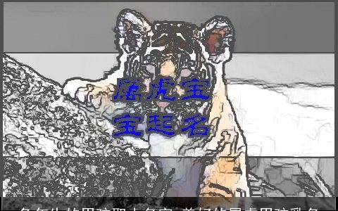 兔年生的男孩取小名字 美好的属虎男孩乳名