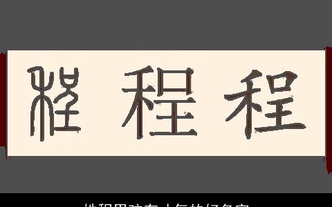 姓程男孩有才气的好名字