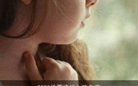 2024姓贾建的女孩名字