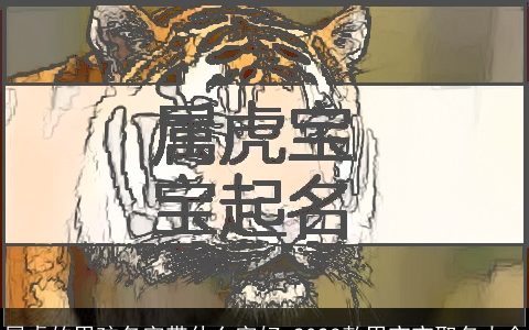 属龙的男孩名字带什么字好 2024款男宝宝取名大全