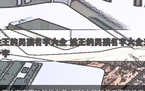 王姓宝宝男孩起什么名 2023小孩起名字男孩姓王