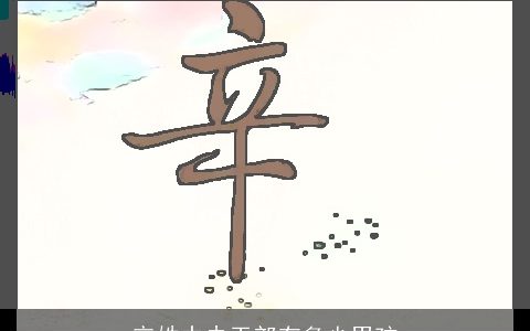 辛姓中央干部有多少男孩