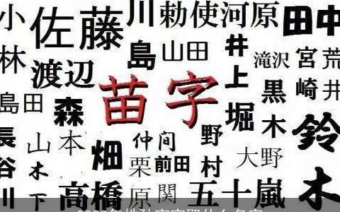 2023年姓孙宝宝取什么名字