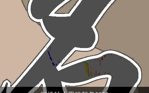 张姓缺水男孩起名2023